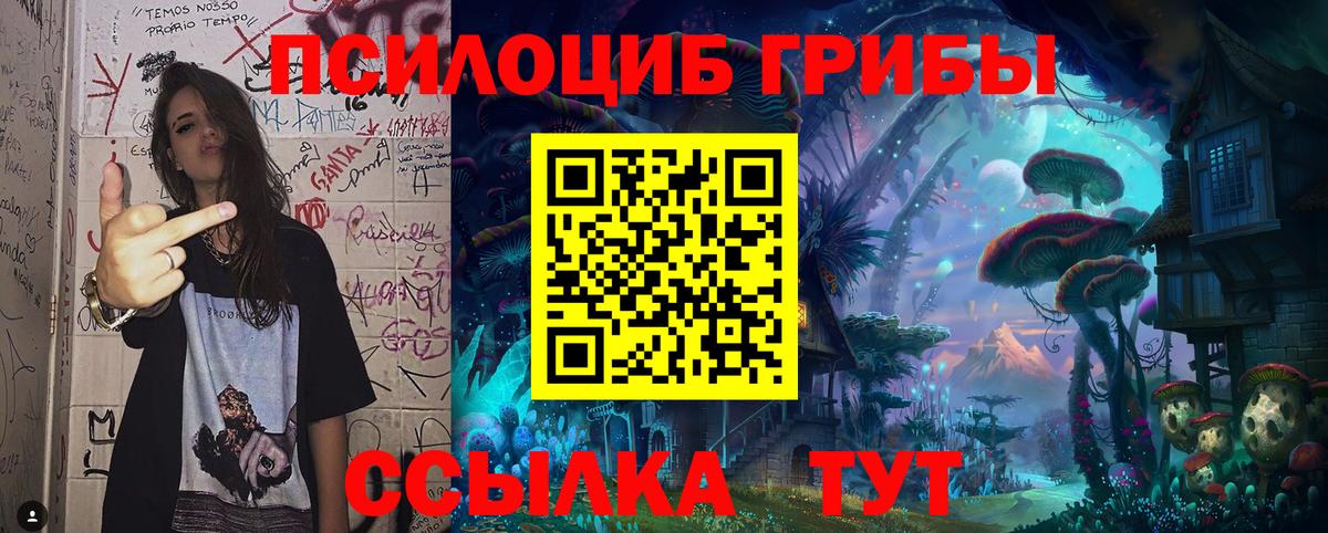 Псилоцибиновые грибы Psilocybe  Вход с VPN  наркошоп  Галлюциногенные грибы Cubensis  Кубинка 