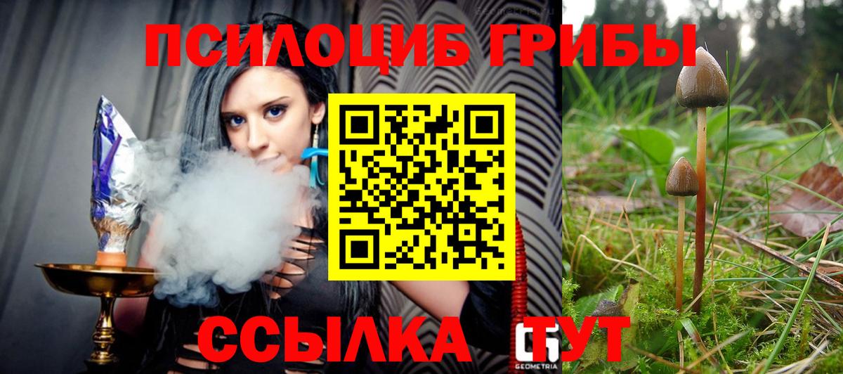 Галлюциногенные грибы GOLDEN TEACHER  Кубинка 